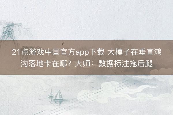 21点游戏中国官方app下载 大模子在垂直鸿沟落地卡在哪？大师：数据标注拖后腿